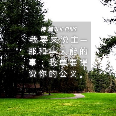 Picture 04 - 诗 篇 71:16 CUVS - 我 要 来 说 主 ─ 耶 和 华 大 能 的 - Bible Verse Picture
