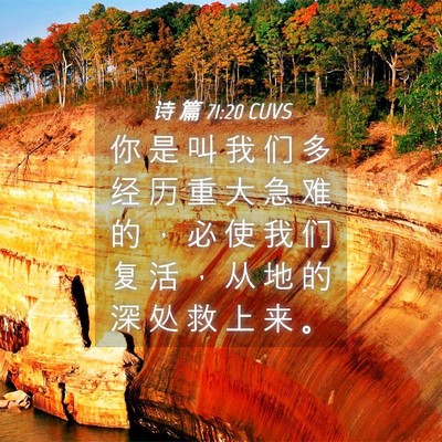 Picture 04 - 诗 篇 71:20 CUVS - 你 是 叫 我 们 多 经 历 重 大 急 难 - Bible Verse Picture