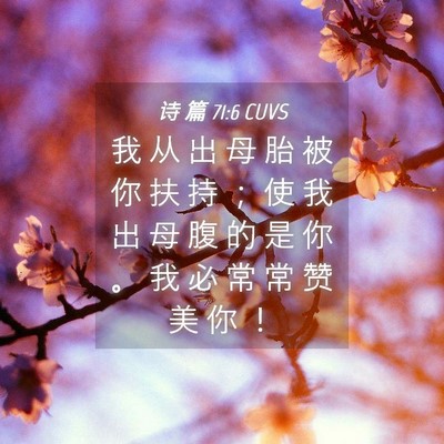 Picture 04 - 诗 篇 71:6 CUVS - 我 从 出 母 胎 被 你 扶 持 ； 使 我 - Bible Verse Picture