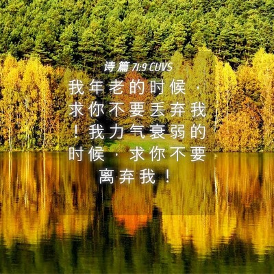 Picture 04 - 诗 篇 71:9 CUVS - 我 年 老 的 时 候 ， 求 你 不 要 丢 - Bible Verse Picture