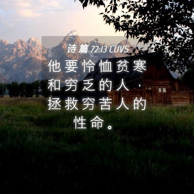 Picture 04 - 诗 篇 72:13 CUVS - 他 要 怜 恤 贫 寒 和 穷 乏 的 人 ， - Bible Verse Picture