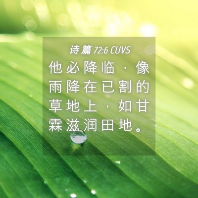 Picture 04 - 诗 篇 72:6 CUVS - 他 必 降 临 ， 像 雨 降 在 已 割 的 - Bible Verse Picture