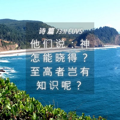 Picture 04 - 诗 篇 73:11 CUVS - 他 们 说 ： 神 怎 能 晓 得 ？ 至 高 - Bible Verse Picture