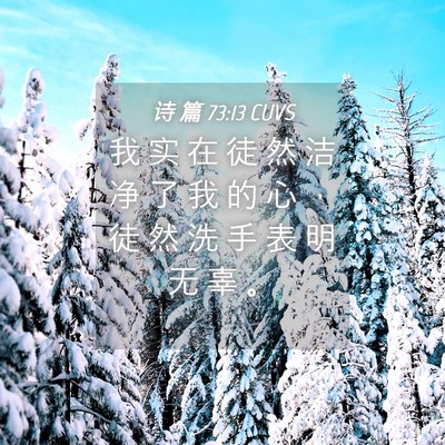 Picture 04 - 诗 篇 73:13 CUVS - 我 实 在 徒 然 洁 净 了 我 的 心 ， - Bible Verse Picture