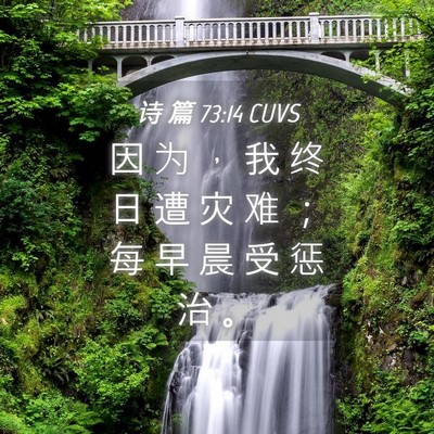 Picture 04 - 诗 篇 73:14 CUVS - 因 为 ， 我 终 日 遭 灾 难 ； 每 早 - Bible Verse Picture