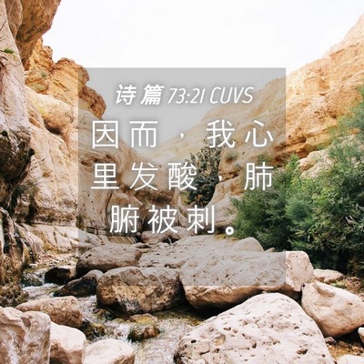 Picture 04 - 诗 篇 73:21 CUVS - 因 而 ， 我 心 里 发 酸 ， 肺 腑 被 - Bible Verse Picture