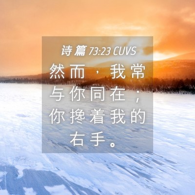 Picture 04 - 诗 篇 73:23 CUVS - 然 而 ， 我 常 与 你 同 在 ； 你 搀 - Bible Verse Picture