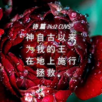 Picture 04 - 诗 篇 74:12 CUVS - 神 自 古 以 来 为 我 的 王 ， 在 地 - Bible Verse Picture