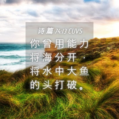 Picture 04 - 诗 篇 74:13 CUVS - 你 曾 用 能 力 将 海 分 开 ， 将 水 - Bible Verse Picture