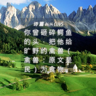 Picture 04 - 诗 篇 74:14 CUVS - 你 曾 砸 碎 鳄 鱼 的 头 ， 把 他 给 - Bible Verse Picture