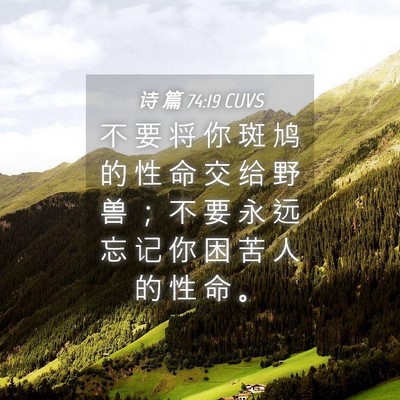 Picture 04 - 诗 篇 74:19 CUVS - 不 要 将 你 斑 鸠 的 性 命 交 给 野 - Bible Verse Picture