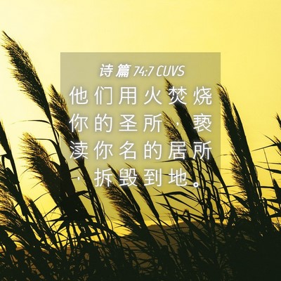 Picture 04 - 诗 篇 74:7 CUVS - 他 们 用 火 焚 烧 你 的 圣 所 ， 亵 - Bible Verse Picture