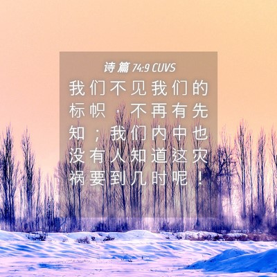 Picture 04 - 诗 篇 74:9 CUVS - 我 们 不 见 我 们 的 标 帜 ， 不 再 - Bible Verse Picture