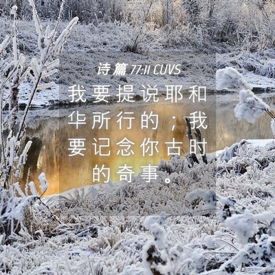 Picture 04 - 诗 篇 77:11 CUVS - 我 要 提 说 耶 和 华 所 行 的 ； 我 - Bible Verse Picture