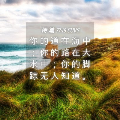 Picture 04 - 诗 篇 77:19 CUVS - 你 的 道 在 海 中 ； 你 的 路 在 大 - Bible Verse Picture
