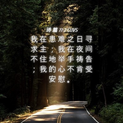 Picture 04 - 诗 篇 77:2 CUVS - 我 在 患 难 之 日 寻 求 主 ； 我 在 - Bible Verse Picture