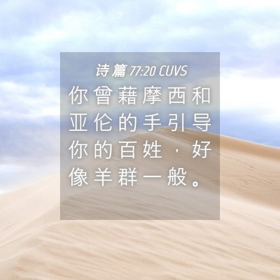 Picture 04 - 诗 篇 77:20 CUVS - 你 曾 藉 摩 西 和 亚 伦 的 手 引 导 - Bible Verse Picture