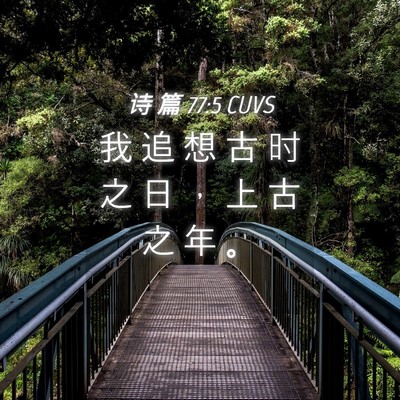 Picture 04 - 诗 篇 77:5 CUVS - 我 追 想 古 时 之 日 ， 上 古 之 年 - Bible Verse Picture