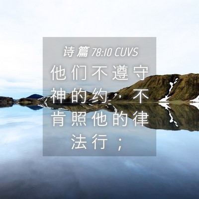 Picture 04 - 诗 篇 78:10 CUVS - 他 们 不 遵 守 神 的 约 ， 不 肯 照 - Bible Verse Picture