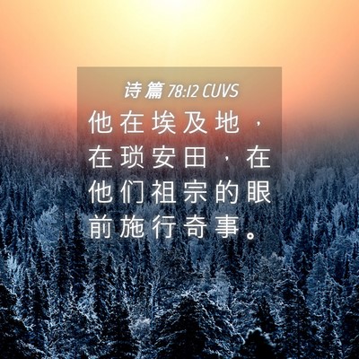 Picture 04 - 诗 篇 78:12 CUVS - 他 在 埃 及 地 ， 在 琐 安 田 ， 在 - Bible Verse Picture