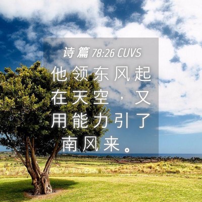 Picture 04 - 诗 篇 78:26 CUVS - 他 领 东 风 起 在 天 空 ， 又 用 能 - Bible Verse Picture