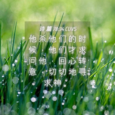 Picture 04 - 诗 篇 78:34 CUVS - 他 杀 他 们 的 时 候 ， 他 们 才 求 - Bible Verse Picture