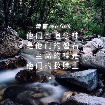 Picture 04 - 诗 篇 78:35 CUVS - 他 们 也 追 念 神 是 他 们 的 磐 石 - Bible Verse Picture