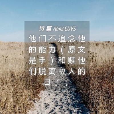 Picture 04 - 诗 篇 78:42 CUVS - 他 们 不 追 念 他 的 能 力 （ 原 文 - Bible Verse Picture