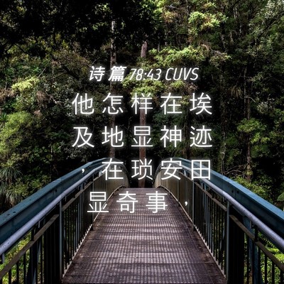 Picture 04 - 诗 篇 78:43 CUVS - 他 怎 样 在 埃 及 地 显 神 迹 ， 在 - Bible Verse Picture
