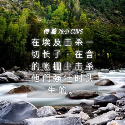 Picture 04 - 诗 篇 78:51 CUVS - 在 埃 及 击 杀 一 切 长 子 ， 在 含 - Bible Verse Picture