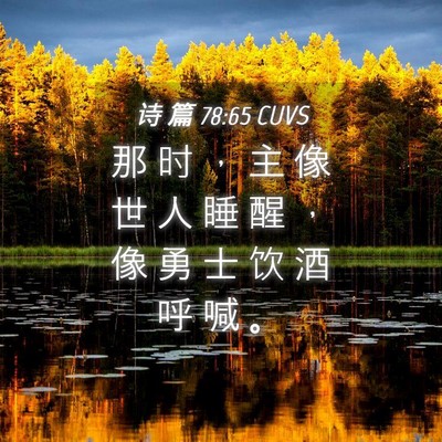 Picture 04 - 诗 篇 78:65 CUVS - 那 时 ， 主 像 世 人 睡 醒 ， 像 勇 - Bible Verse Picture