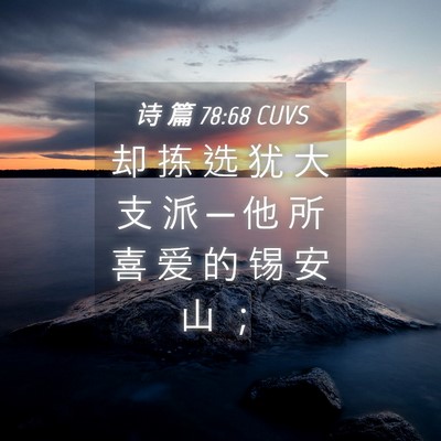 Picture 04 - 诗 篇 78:68 CUVS - 却 拣 选 犹 大 支 派 ─ 他 所 喜 爱 - Bible Verse Picture
