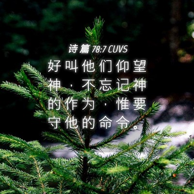 Picture 04 - 诗 篇 78:7 CUVS - 好 叫 他 们 仰 望 神 ， 不 忘 记 神 - Bible Verse Picture