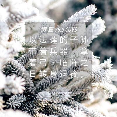 Picture 04 - 诗 篇 78:9 CUVS - 以 法 莲 的 子 孙 带 着 兵 器 ， 拿 - Bible Verse Picture
