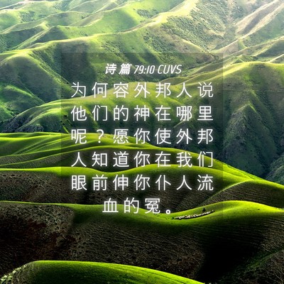 Picture 04 - 诗 篇 79:10 CUVS - 为 何 容 外 邦 人 说 他 们 的 神 在 - Bible Verse Picture