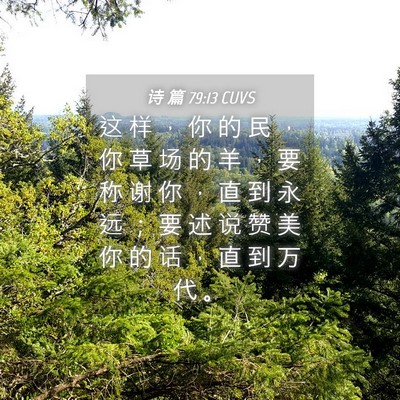 Picture 04 - 诗 篇 79:13 CUVS - 这 样 ， 你 的 民 ， 你 草 场 的 羊 - Bible Verse Picture