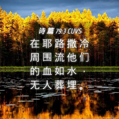 Picture 04 - 诗 篇 79:3 CUVS - 在 耶 路 撒 冷 周 围 流 他 们 的 血 - Bible Verse Picture