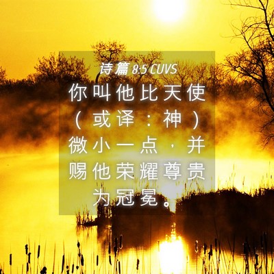 Picture 04 - 诗 篇 8:5 CUVS - 你 叫 他 比 天 使 （ 或 译 ： 神 ） - Bible Verse Picture