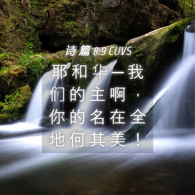 Picture 04 - 诗 篇 8:9 CUVS - 耶 和 华 ─ 我 们 的 主 啊 ， 你 的 - Bible Verse Picture