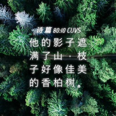 Picture 04 - 诗 篇 80:10 CUVS - 他 的 影 子 遮 满 了 山 ， 枝 子 好 - Bible Verse Picture