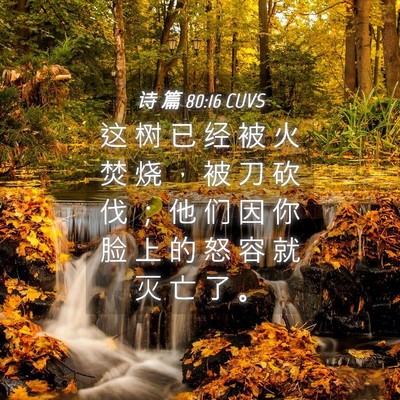 Picture 04 - 诗 篇 80:16 CUVS - 这 树 已 经 被 火 焚 烧 ， 被 刀 砍 - Bible Verse Picture