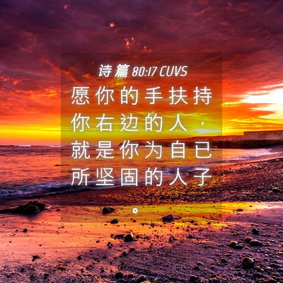 Picture 04 - 诗 篇 80:17 CUVS - 愿 你 的 手 扶 持 你 右 边 的 人 ， - Bible Verse Picture