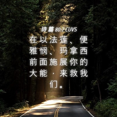 Picture 04 - 诗 篇 80:2 CUVS - 在 以 法 莲 、 便 雅 悯 、 玛 拿 西 - Bible Verse Picture