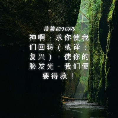 Picture 04 - 诗 篇 80:3 CUVS - 神 啊 ， 求 你 使 我 们 回 转 （ 或 - Bible Verse Picture