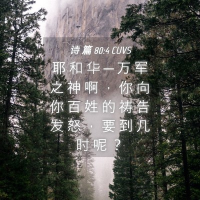 Picture 04 - 诗 篇 80:4 CUVS - 耶 和 华 ─ 万 军 之 神 啊 ， 你 向 - Bible Verse Picture