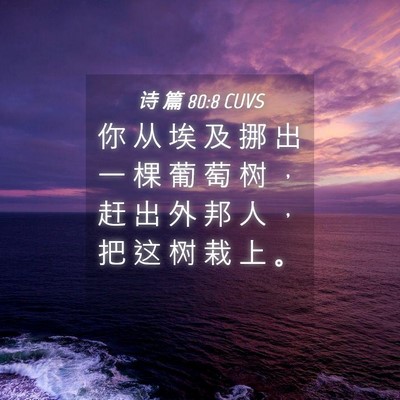 Picture 04 - 诗 篇 80:8 CUVS - 你 从 埃 及 挪 出 一 棵 葡 萄 树 ， - Bible Verse Picture