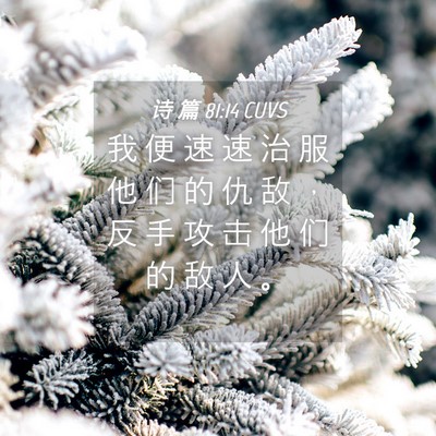 Picture 04 - 诗 篇 81:14 CUVS - 我 便 速 速 治 服 他 们 的 仇 敌 ， - Bible Verse Picture