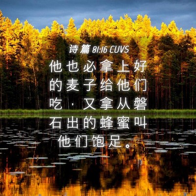 Picture 04 - 诗 篇 81:16 CUVS - 他 也 必 拿 上 好 的 麦 子 给 他 们 - Bible Verse Picture