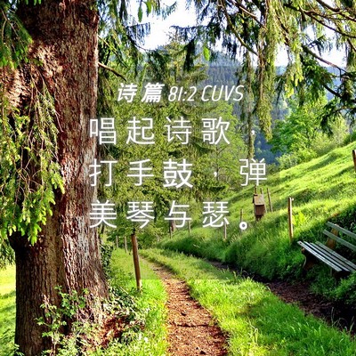 Picture 04 - 诗 篇 81:2 CUVS - 唱 起 诗 歌 ， 打 手 鼓 ， 弹 美 琴 - Bible Verse Picture