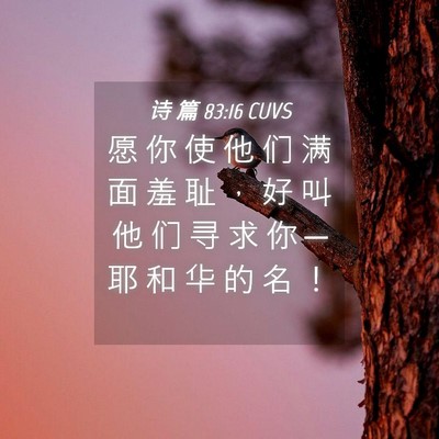 Picture 04 - 诗 篇 83:16 CUVS - 愿 你 使 他 们 满 面 羞 耻 ， 好 叫 - Bible Verse Picture